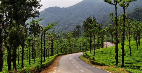 chennai to valparai train|More.